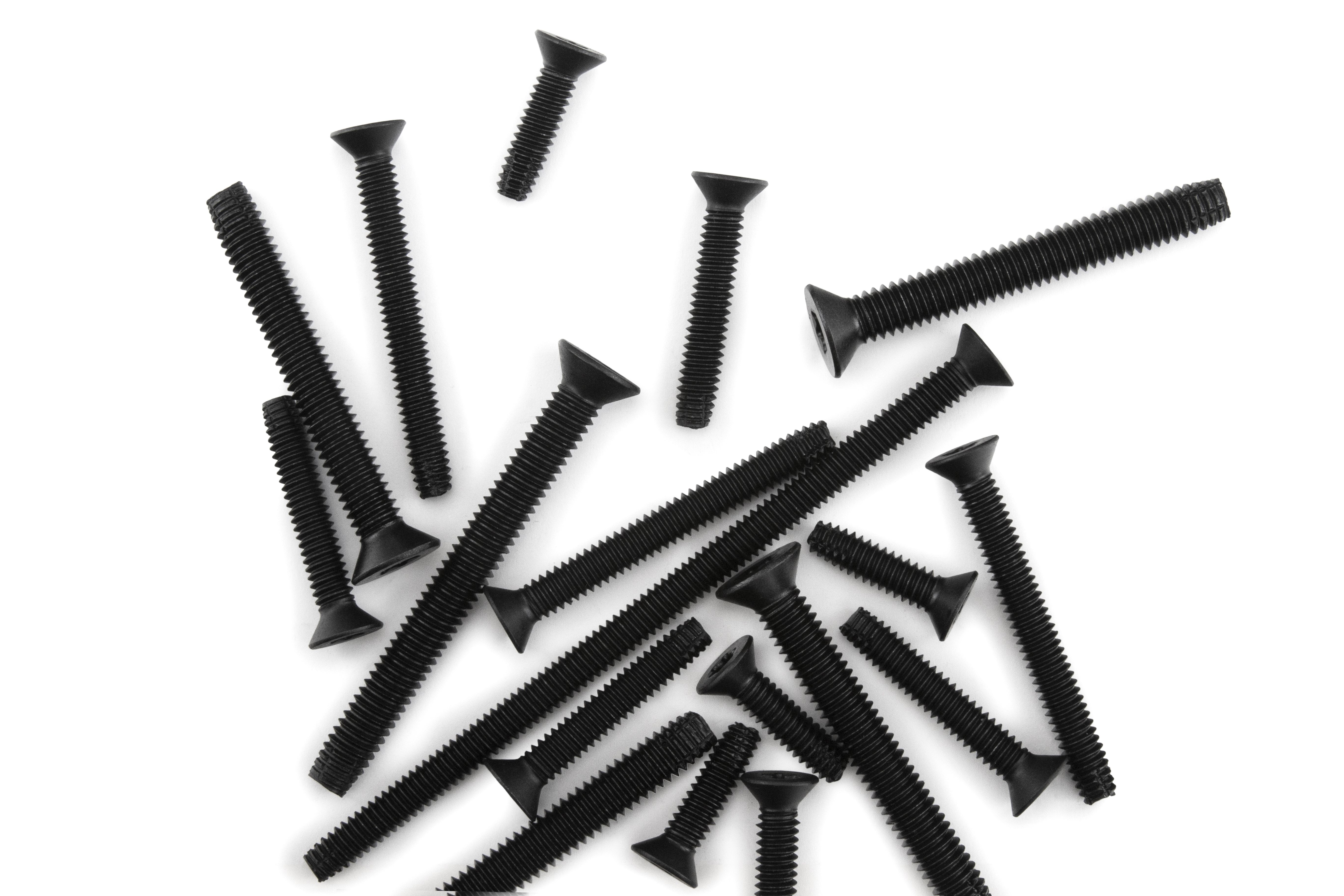 Group of Floorboard Screws